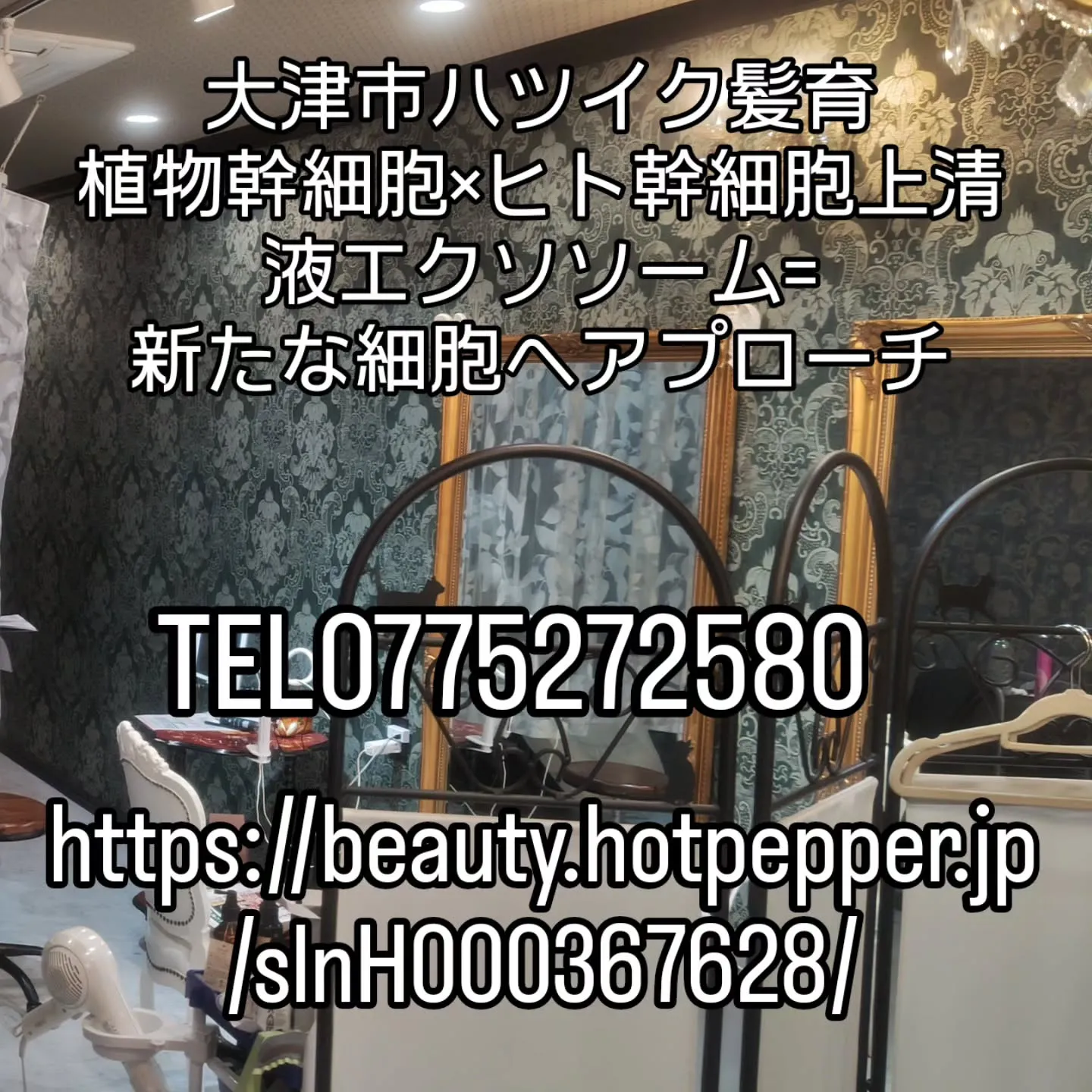 大津市頭皮ケア、ヘアケア、オーガニック美容室