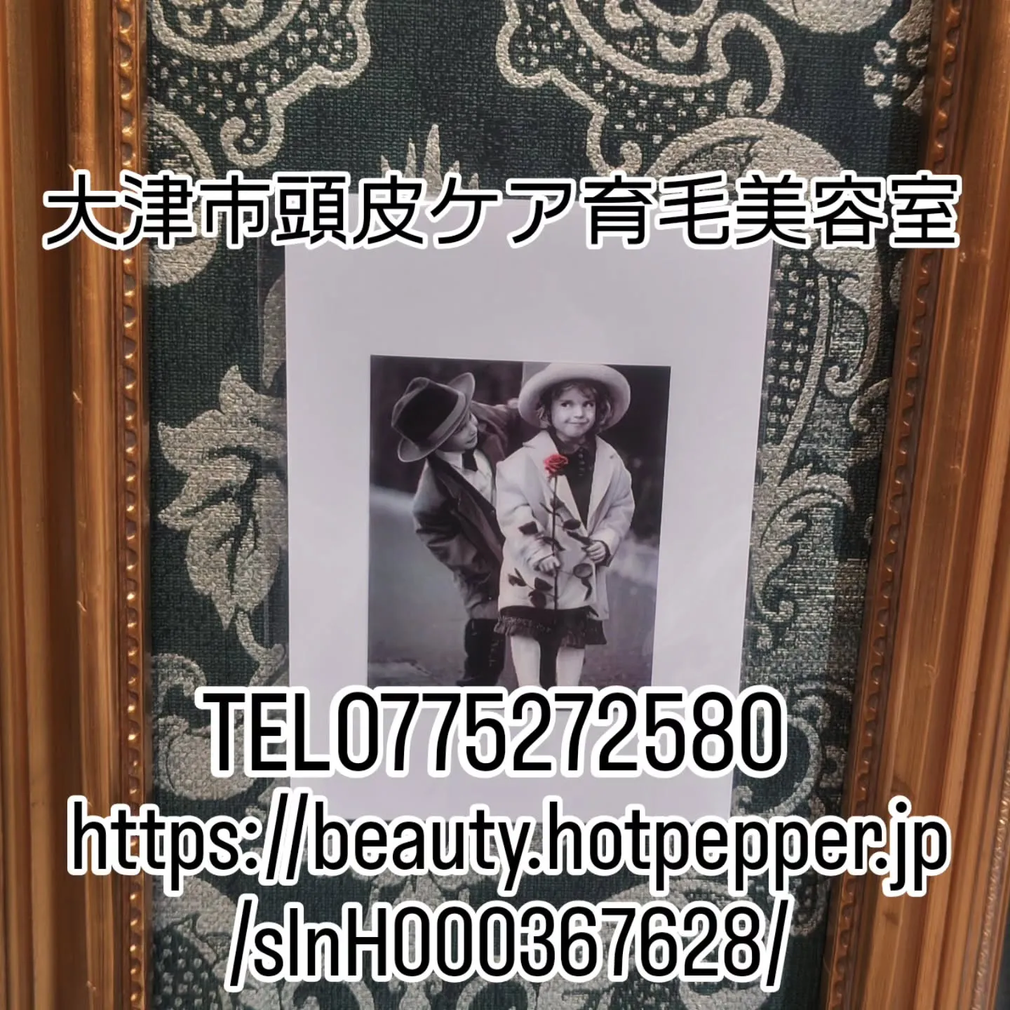 大津市で頭皮ケア育毛、発毛と言えば？