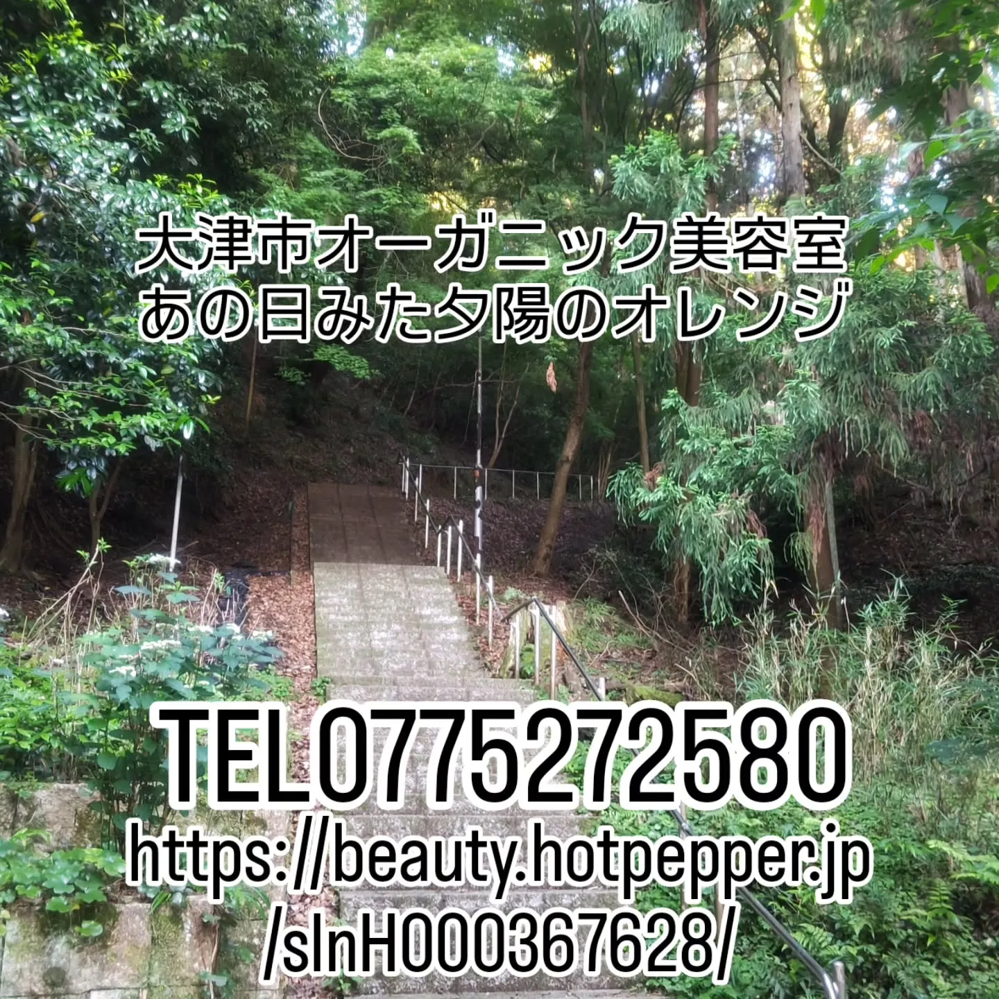 大津市髪や頭皮のお悩みは特別なアイテムや豊富な経験知識のある...