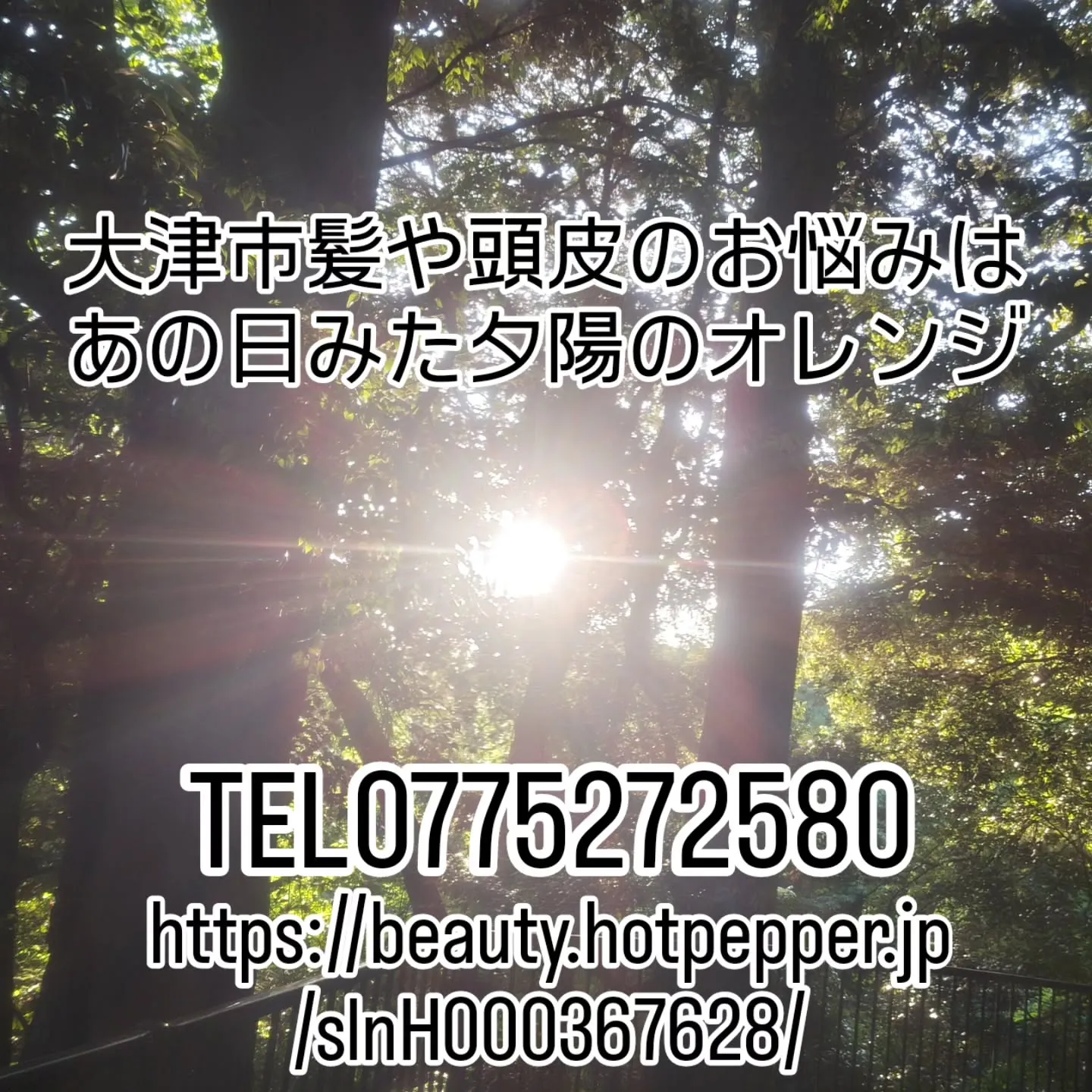 大津市髪や頭皮のお悩みは特別なアイテムや豊富な経験知識のある...