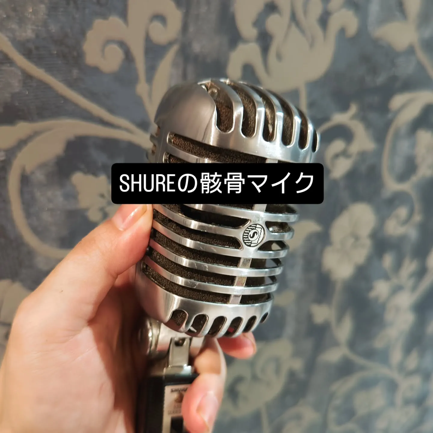 大津市派手髪脱白髪染め大人のおしゃれ染めヘアカラーと言えば？