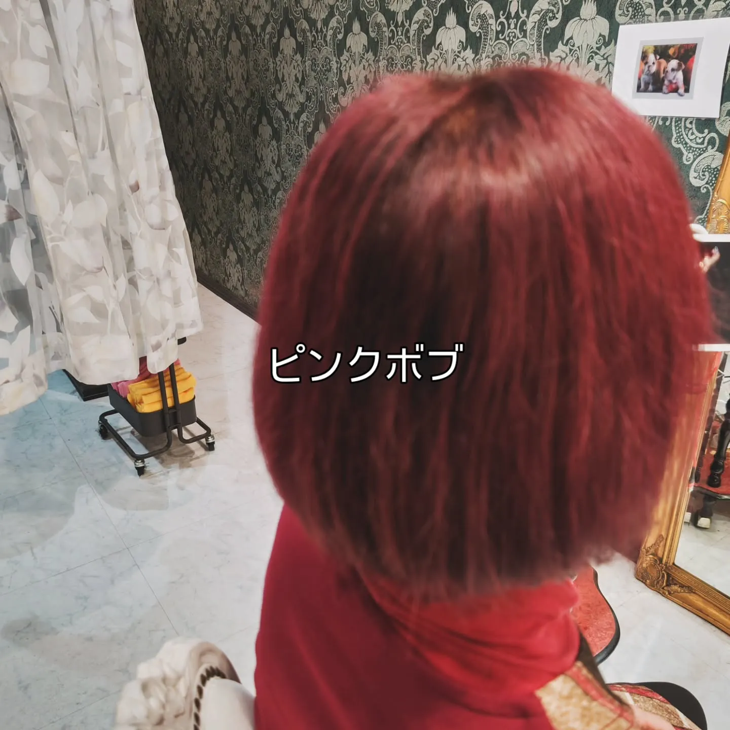 大津市派手髪脱白髪染めバレイヤージュ早朝夜遅くからヘアカラー...