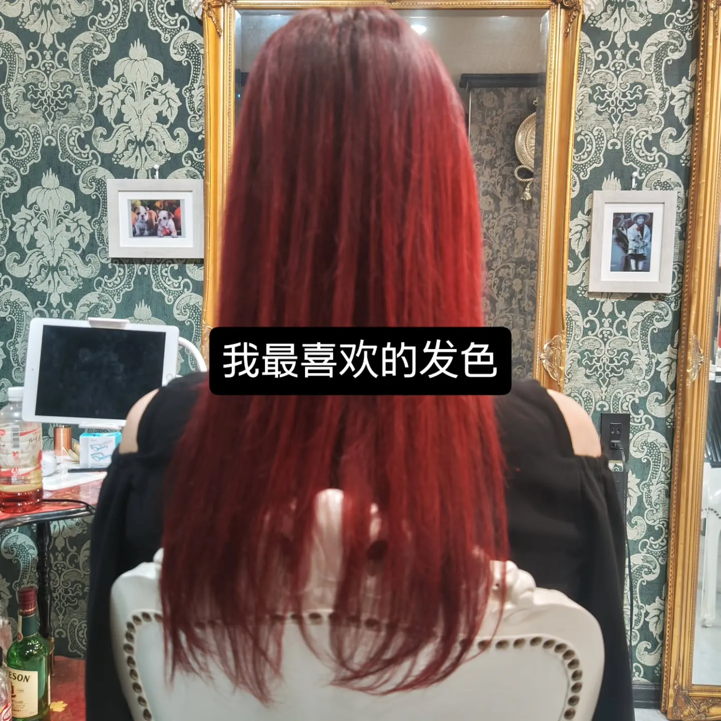 大津市脱白髪染め、大人の派手髪、推し色、推し活⁡