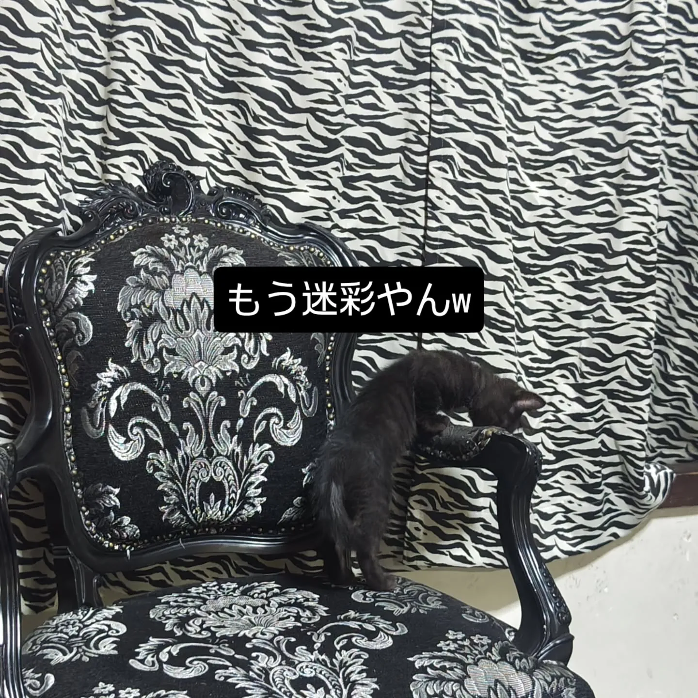 大津市⁡5歳若見えを叶えるオーガニック美容室⁡