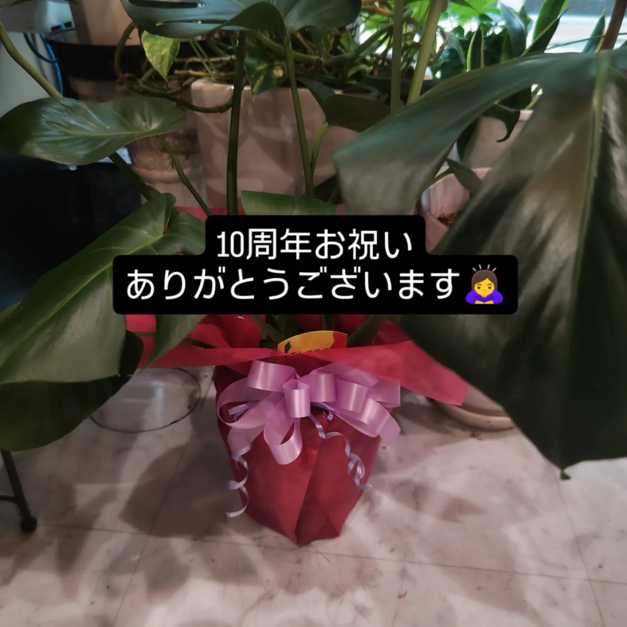 滋賀県大津市・ナカマチ商店街5歳若見えを叶えるオーガニック美...